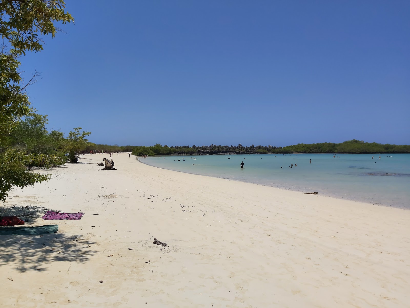 Tortuga Laguna Beach的照片 带有碧绿色纯水表面