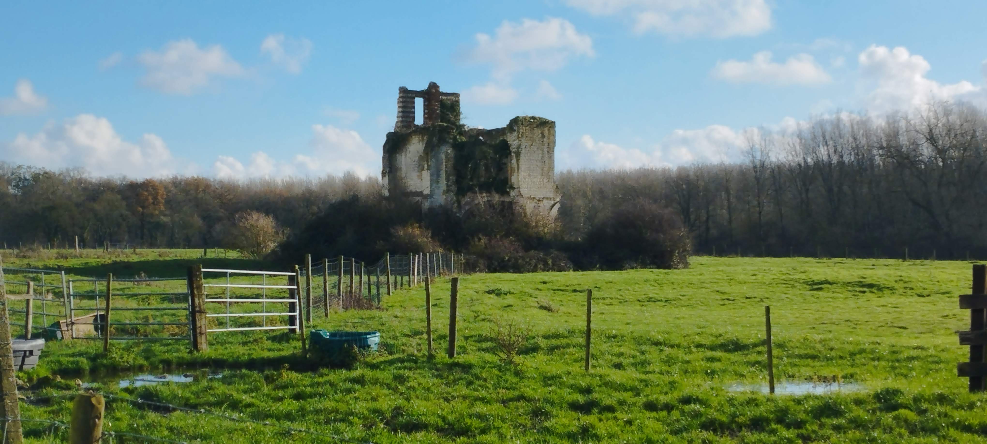 Photo n° 1 de l'avis de Mikhail.o fait le 06/12/2023 à 14:22