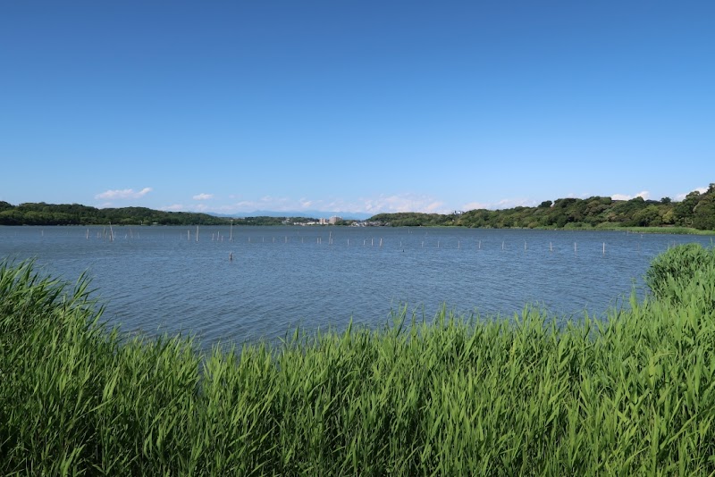 佐鳴湖