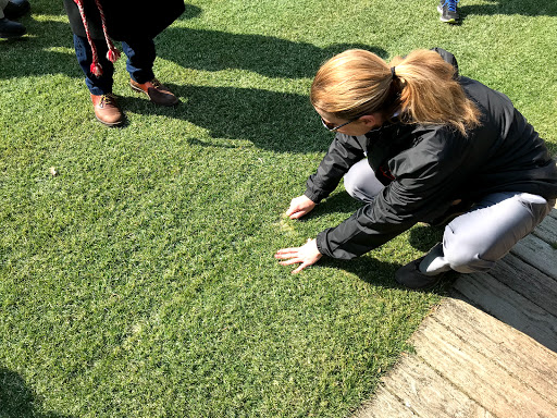 Baseball Field «Oriole Park at Camden Yards», reviews and photos, 333 W Camden St, Baltimore, MD 21201, USA