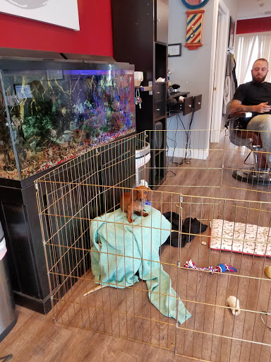 Barber Shop «Broadway Barber Shop», reviews and photos, 181 Broadway, Taunton, MA 02780, USA