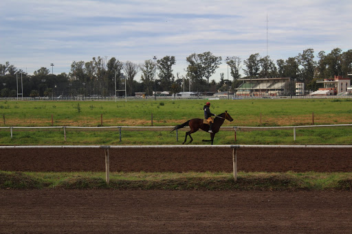Horse riding schools Rosario