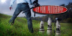 Fotografuddannelse.nu :: Key Point Photography Academy