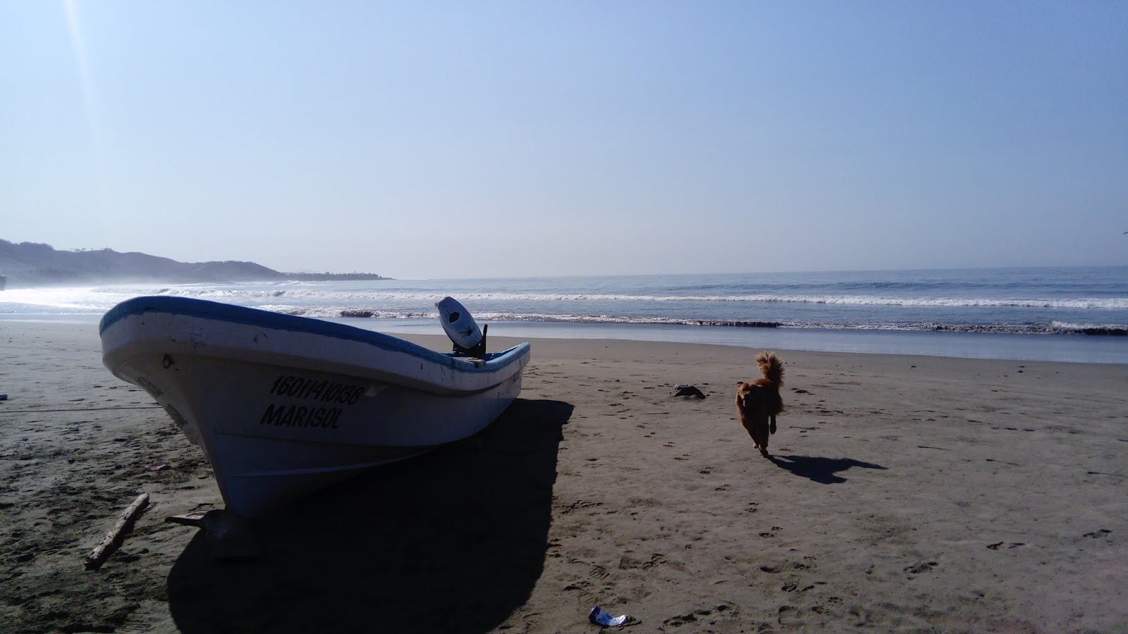 Photo de Playa El Zapote avec un niveau de propreté de partiellement propre