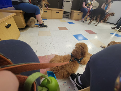 Pet Supply Store «Petco Animal Supplies», reviews and photos, 1415 E Warner Rd, Gilbert, AZ 85296, USA