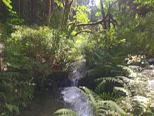 Performing Arts Theater «Snoqualmie Falls Forest Theater», reviews and photos, 36800 SE David Powell Rd, Fall City, WA 98024, USA