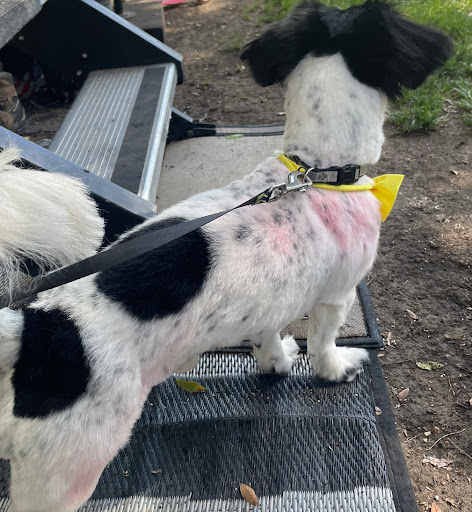 Pet Store «Katie’s PET DEPOT®», reviews and photos, 1941 Foothill Blvd, La Verne, CA 91750, USA