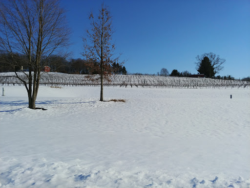 Winery «Clover Hill Vineyards & Winery», reviews and photos, 9850 Newtown Rd, Breinigsville, PA 18031, USA