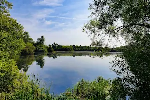 Ditchford Lakes And Meadows image