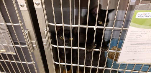 Pet Supply Store «PetSmart», reviews and photos, 45 Park Pl Dr, Covington, LA 70433, USA