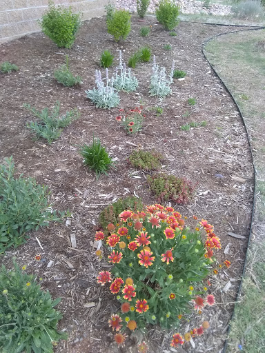 Park «Centennial Center Park», reviews and photos, 13050 E Peakview Ave, Centennial, CO 80111, USA