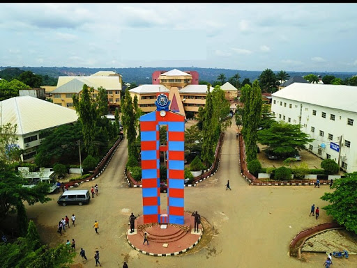 Federal Polytechnic, Oko, Oko Town, Nigeria, Financial Consultant, state Anambra