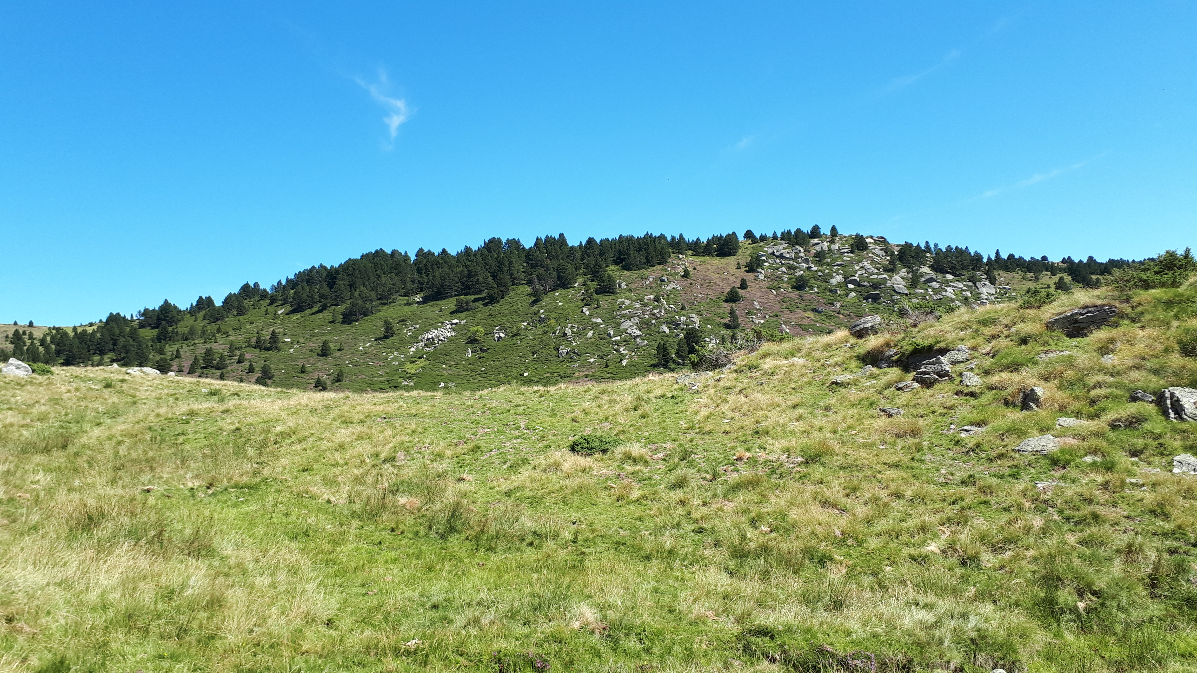 Photo n° 13 de l'avis de Christophe.e fait le 16/08/2019 à 17:19
