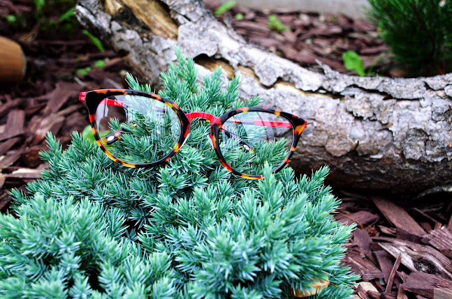 Comentarii opinii despre Optyk BiałaSowa