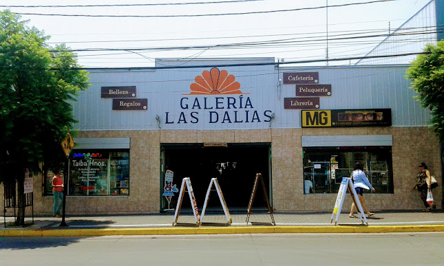Galeria Las Dalias