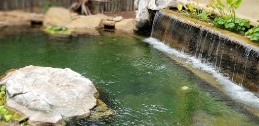 Zoo «Nashville Zoo at Grassmere», reviews and photos, 3777 Nolensville Pike, Nashville, TN 37211, USA