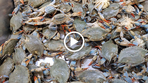 Grocery Store «New Grand Mart», reviews and photos, 6326 Arlington Blvd, Falls Church, VA 22042, USA