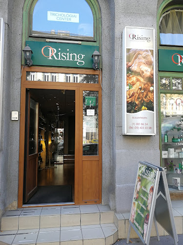 Hajgyógyászat - O'Rising - Budapest