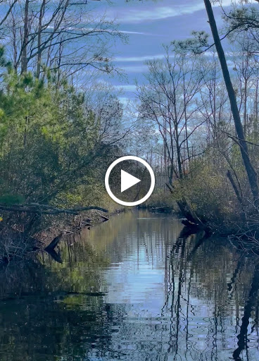 Bicycle Rental Service «Ocean Rentals Ltd.», reviews and photos, 577 Sandbridge Rd, Virginia Beach, VA 23456, USA