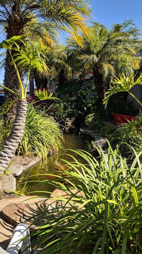 Car Wash «Red Carpet Car Wash», reviews and photos, 2414 N Sepulveda Blvd, Manhattan Beach, CA 90266, USA