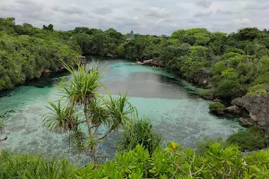 Waikuri Lagoon image