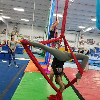 Dragonfly Aerial CO