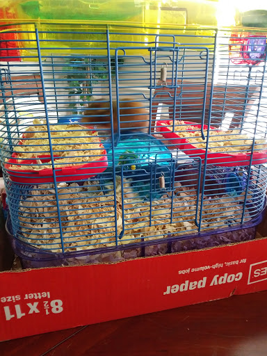 Pet Supply Store «PetSmart», reviews and photos, 2940 Chapel Hill Rd, Douglasville, GA 30135, USA