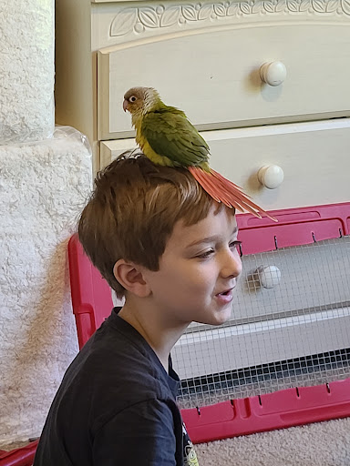 Pet Supply Store «PetSmart», reviews and photos, 7663 Arundel Mills Blvd, Hanover, MD 21076, USA