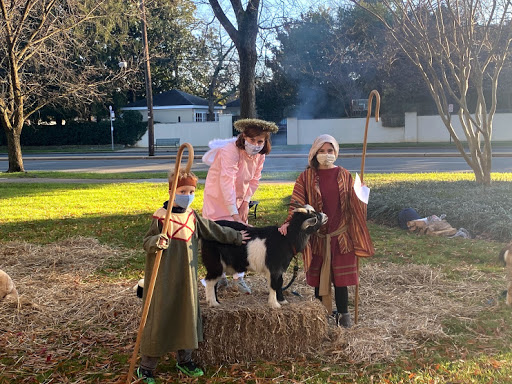 Pony Ride Service «Animals Unlimited LLC est 1996 travelling petting zoo/pony rides/travelling exotic animal programs .», reviews and photos, 16805 Mountain Rd, Montpelier, VA 23192, USA