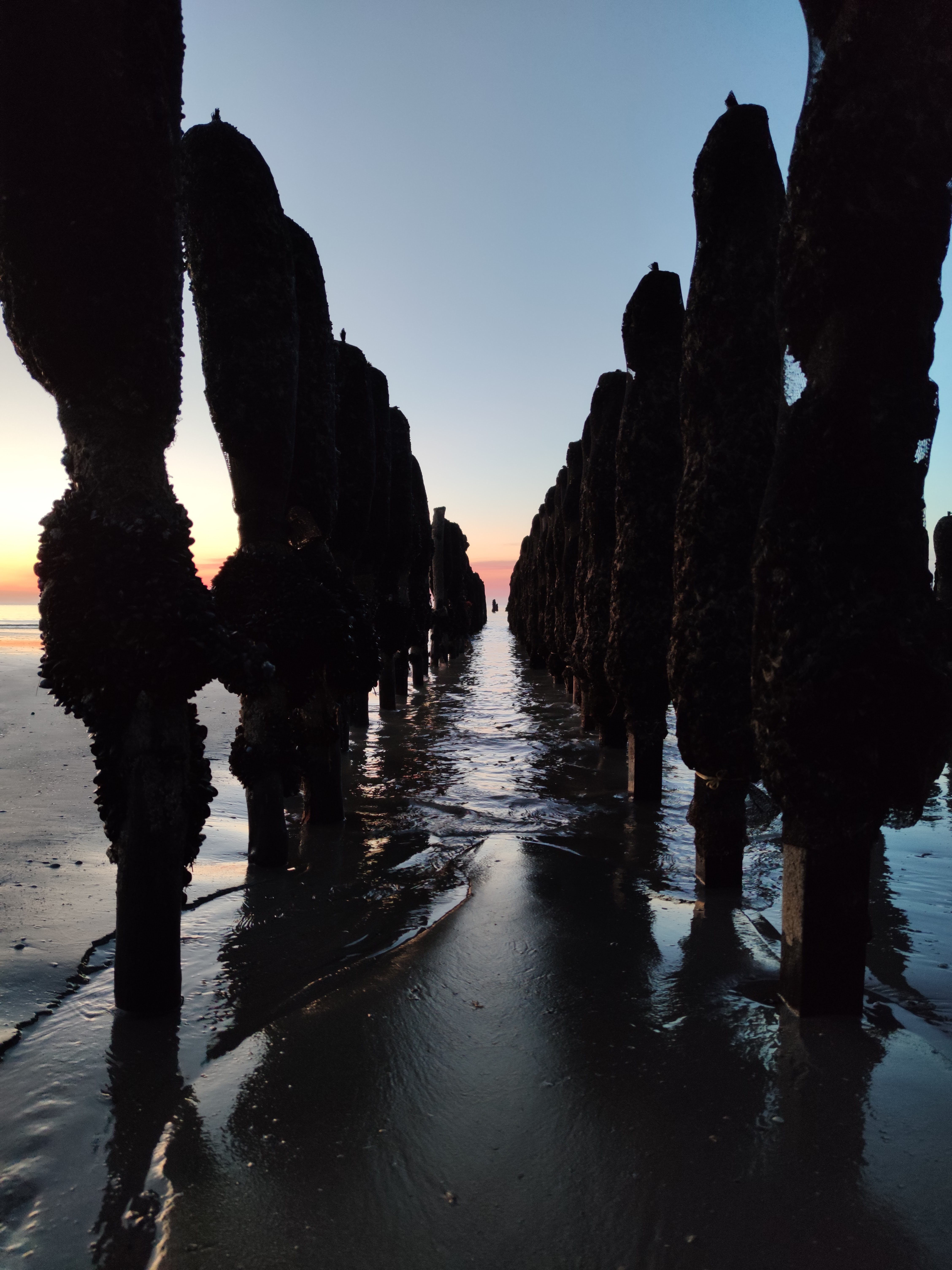 Photo n° 4 de l'avis de Maxime.r fait le 29/11/2020 à 12:55