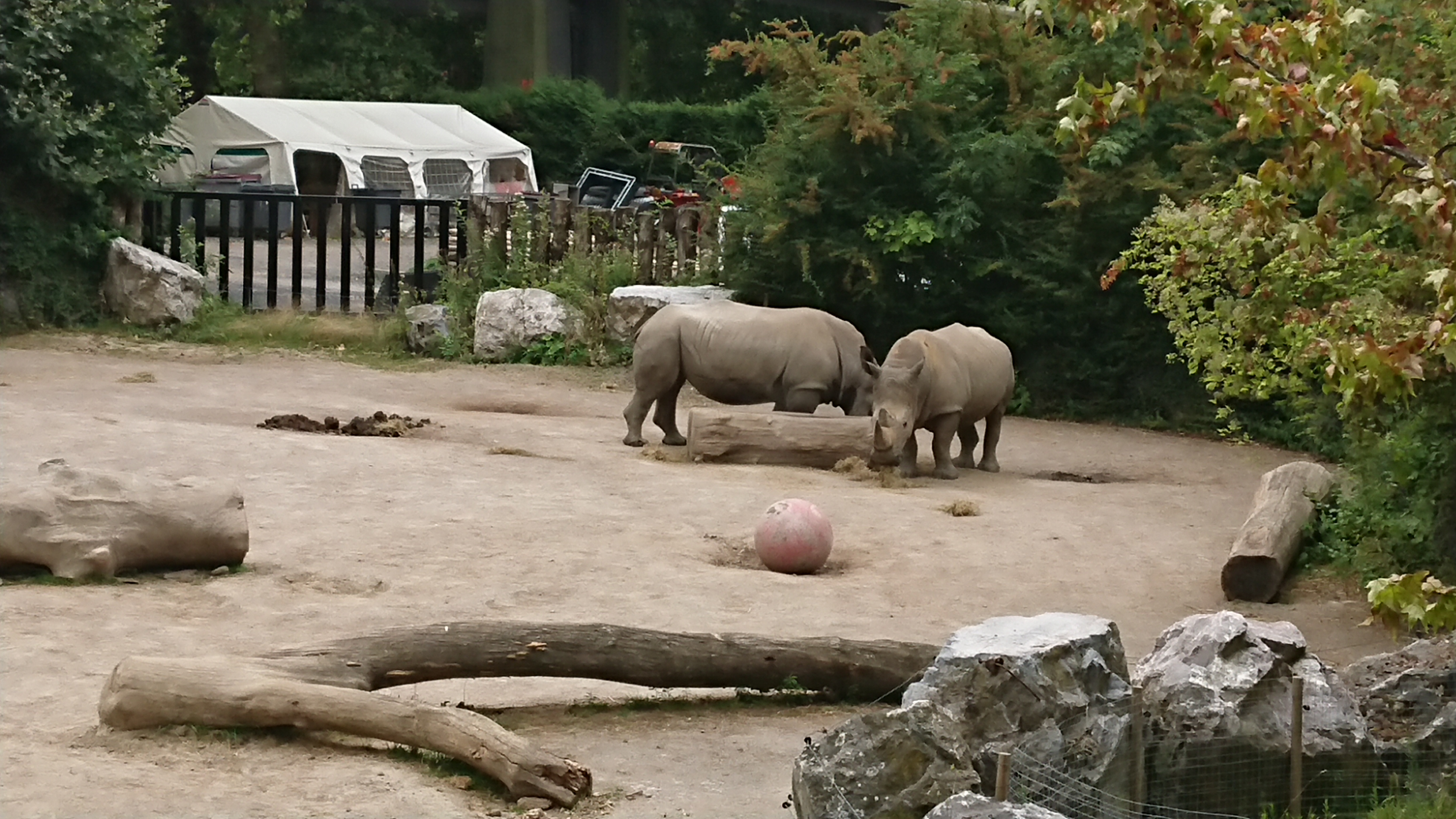 Photo n° 7 de l'avis de Amine.U fait le 09/09/2019 à 14:00