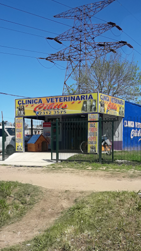 Veterinaria Cibils