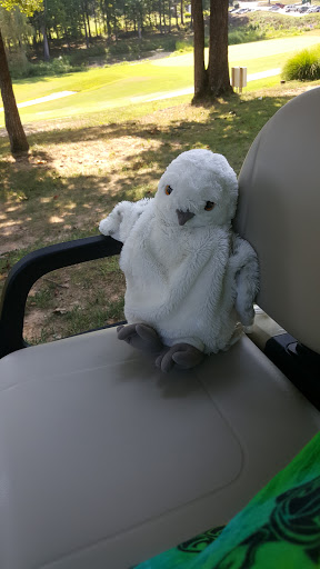 Golf Course «The Gauntlet Golf Club», reviews and photos, 18 Fairway Dr, Fredericksburg, VA 22406, USA