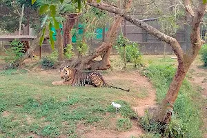Tiger & Lion Cage image