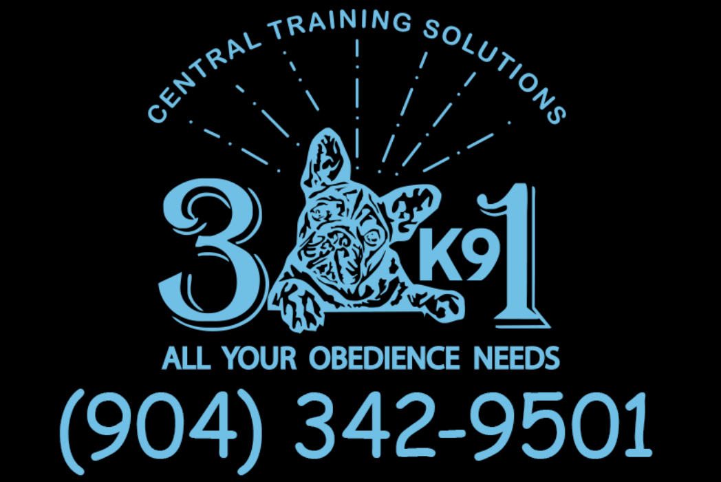 3K91 Central Training Solutions