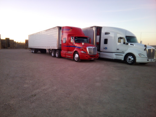 Transportes Refrigerados Gamvier S.A de C.V.