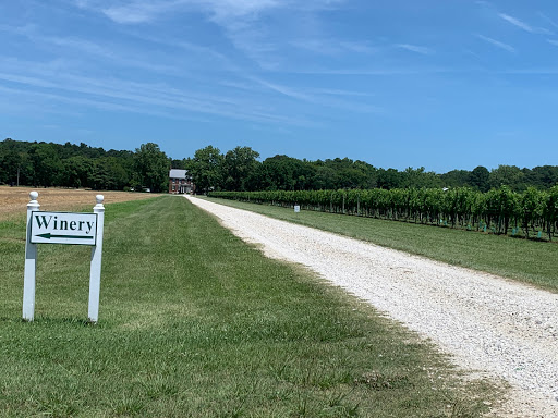 Vineyard «Chatham Vineyards & Winery», reviews and photos, 9232 Chatham Rd, Machipongo, VA 23405, USA
