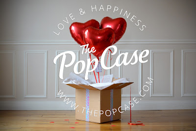 The PopCase à La Ferté-Saint-Aubin