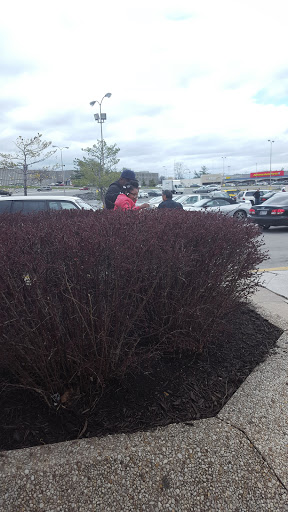 Shopping Mall «Northwest Plaza Shopping Center», reviews and photos, 4600 W Northern Pkwy, Baltimore, MD 21215, USA