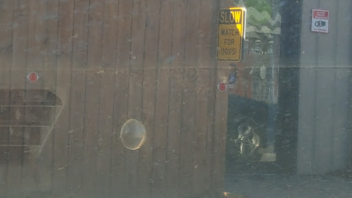 Pet Groomer «Delaware Pet Stuff», reviews and photos, 435 Dunlap St, Delaware, OH 43015, USA