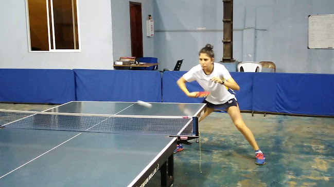 Opiniones de Sala De Tenis De Mesa en Santo Domingo de los Colorados - Gimnasio