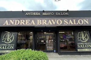 Andrea Bravo Salon image