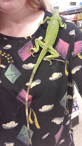 Pet Supply Store «PetSmart», reviews and photos, 10697 E US Hwy 36, Avon, IN 46123, USA
