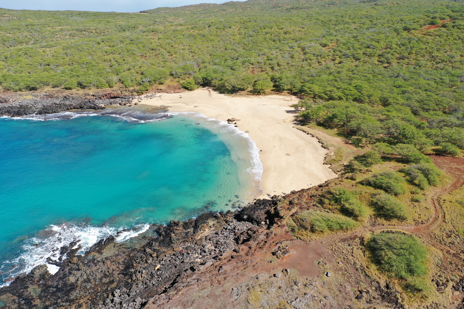 Kawakiu Beach的照片 带有碧绿色纯水表面