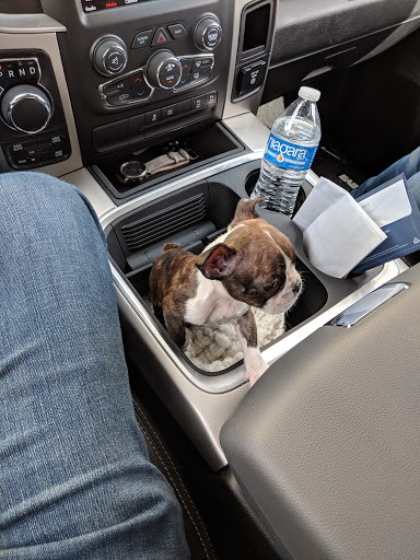 Animal Feed Store «Locke Hill Feed, Pet, & Lawn Supply», reviews and photos, 4927 Golden Quail #105, San Antonio, TX 78240, USA