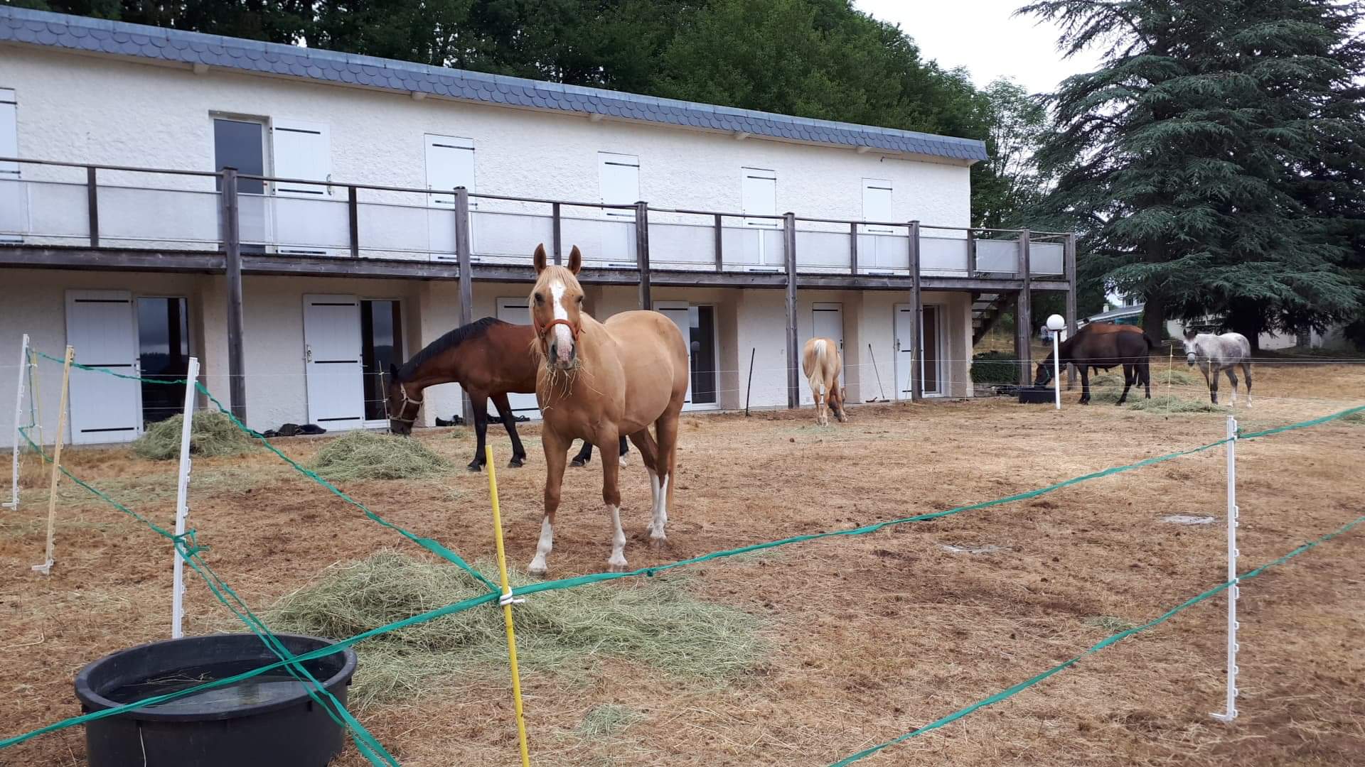 Photo n° 1 de l'avis de Caroline.e fait le 30/07/2019 à 16:20