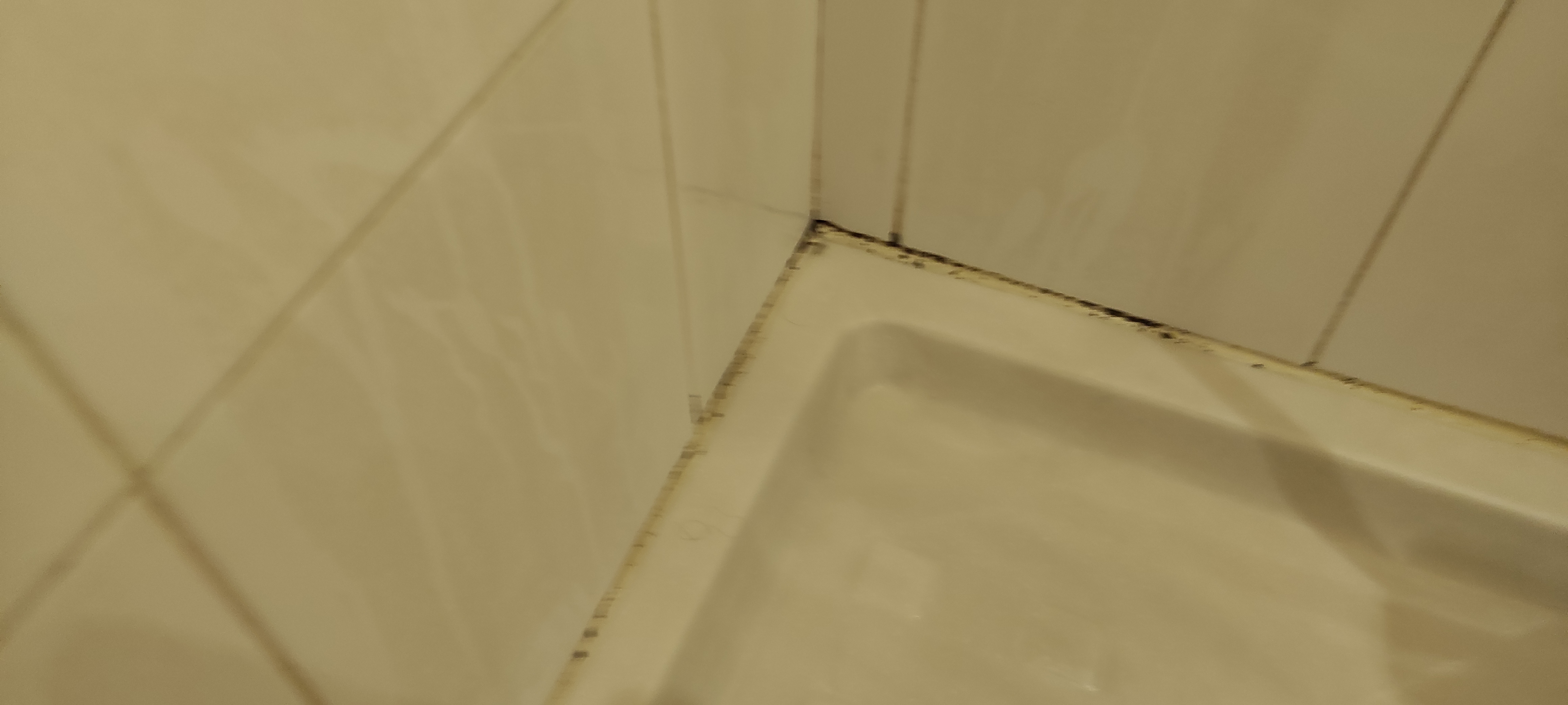 Photo n° 7 de l'avis de Philippe.r fait le 29/05/2018 à 18:06