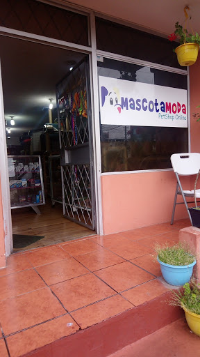 Pet shop MascotaModa Ecuador
