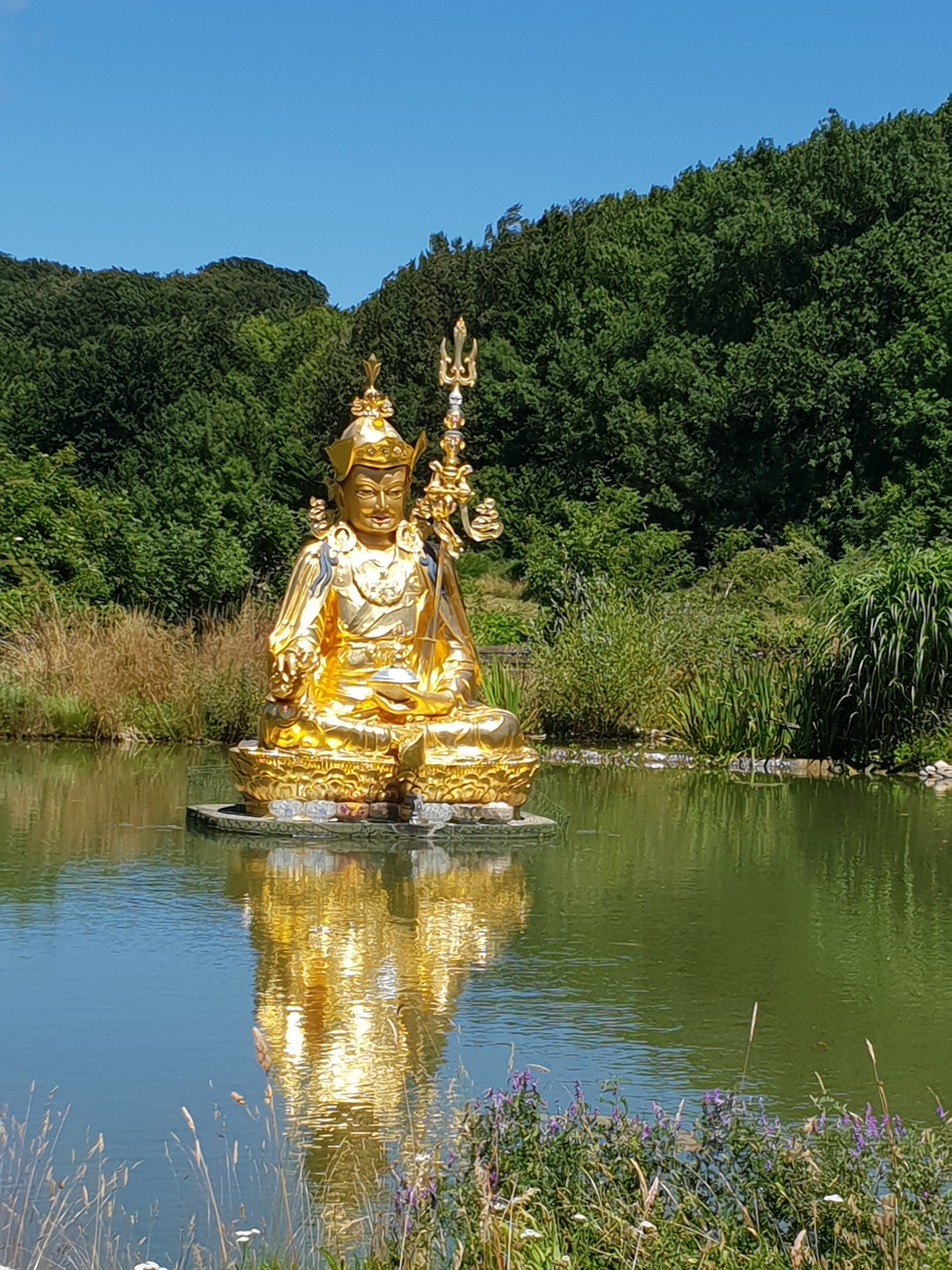 Photo n° 3 de l'avis de claire.I fait le 06/07/2020 à 04:50