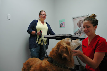 Pembroke Animal Hospital